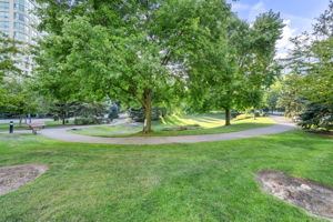  Photo 37