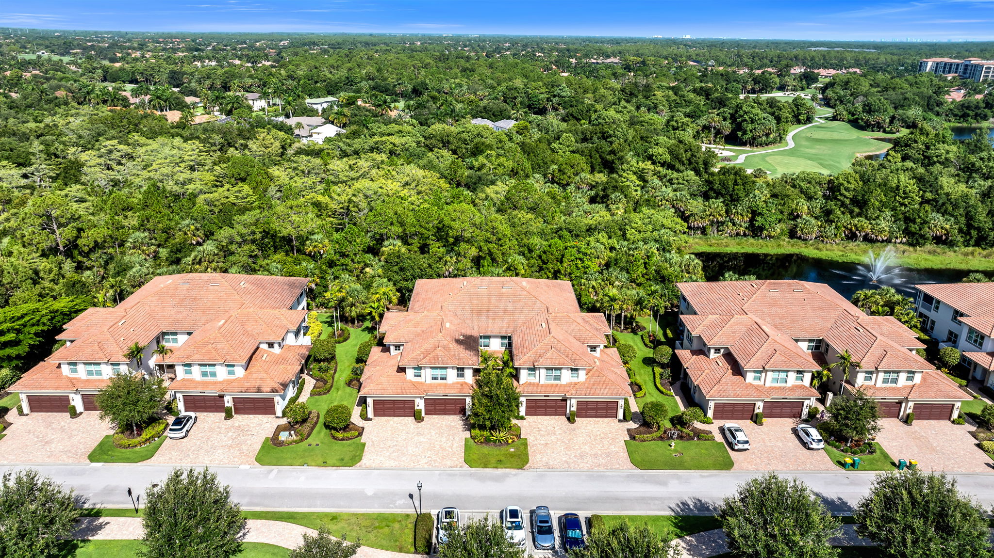 Aerial 3
