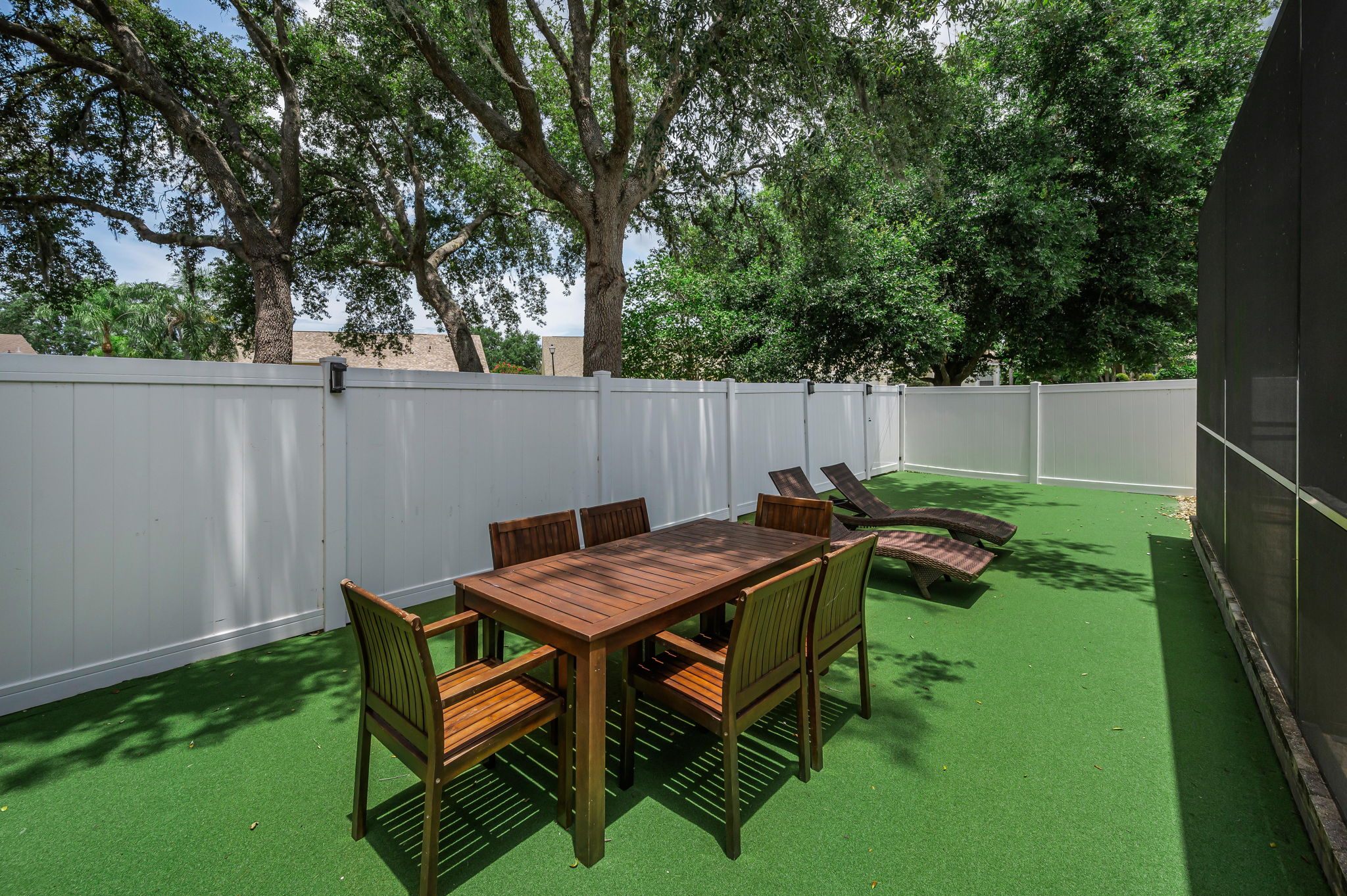 Backyard1