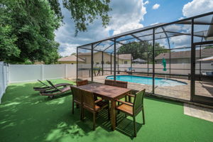 Backyard2