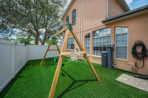 Backyard6