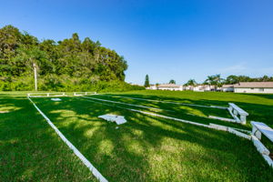 29-Horseshoes and Cornhole