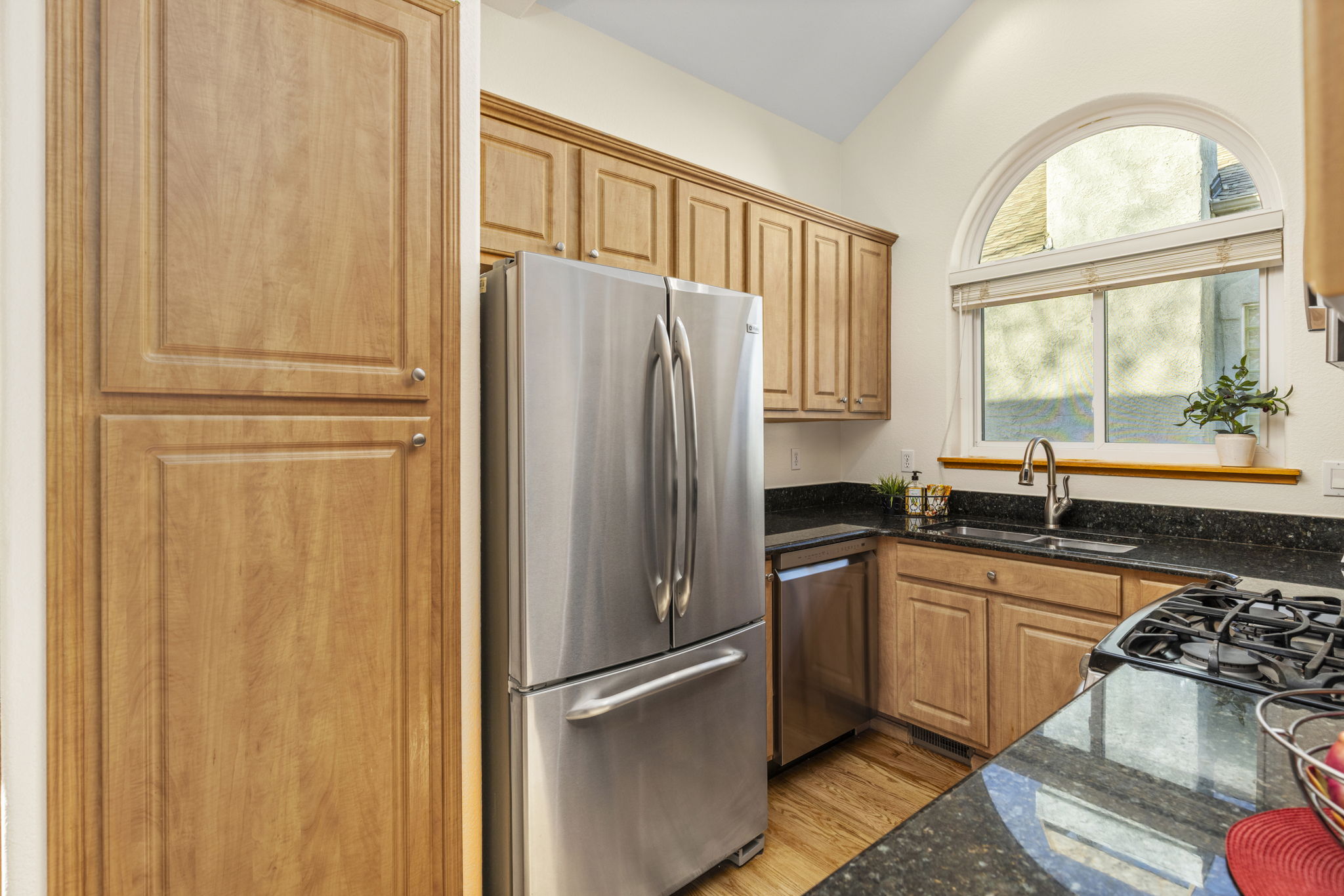 Stainless appliances