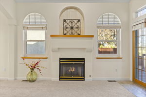 Gas fireplace, art niches