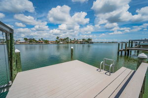 Dock3