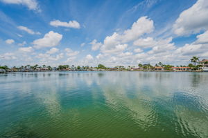 Dock4 View