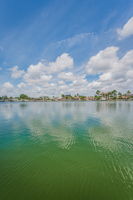 Dock5 View