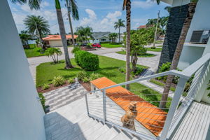 Entry View