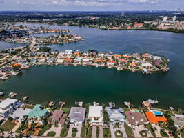 Aerial (6)