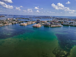 Aerial (16)