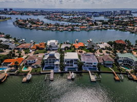 Aerial (22)