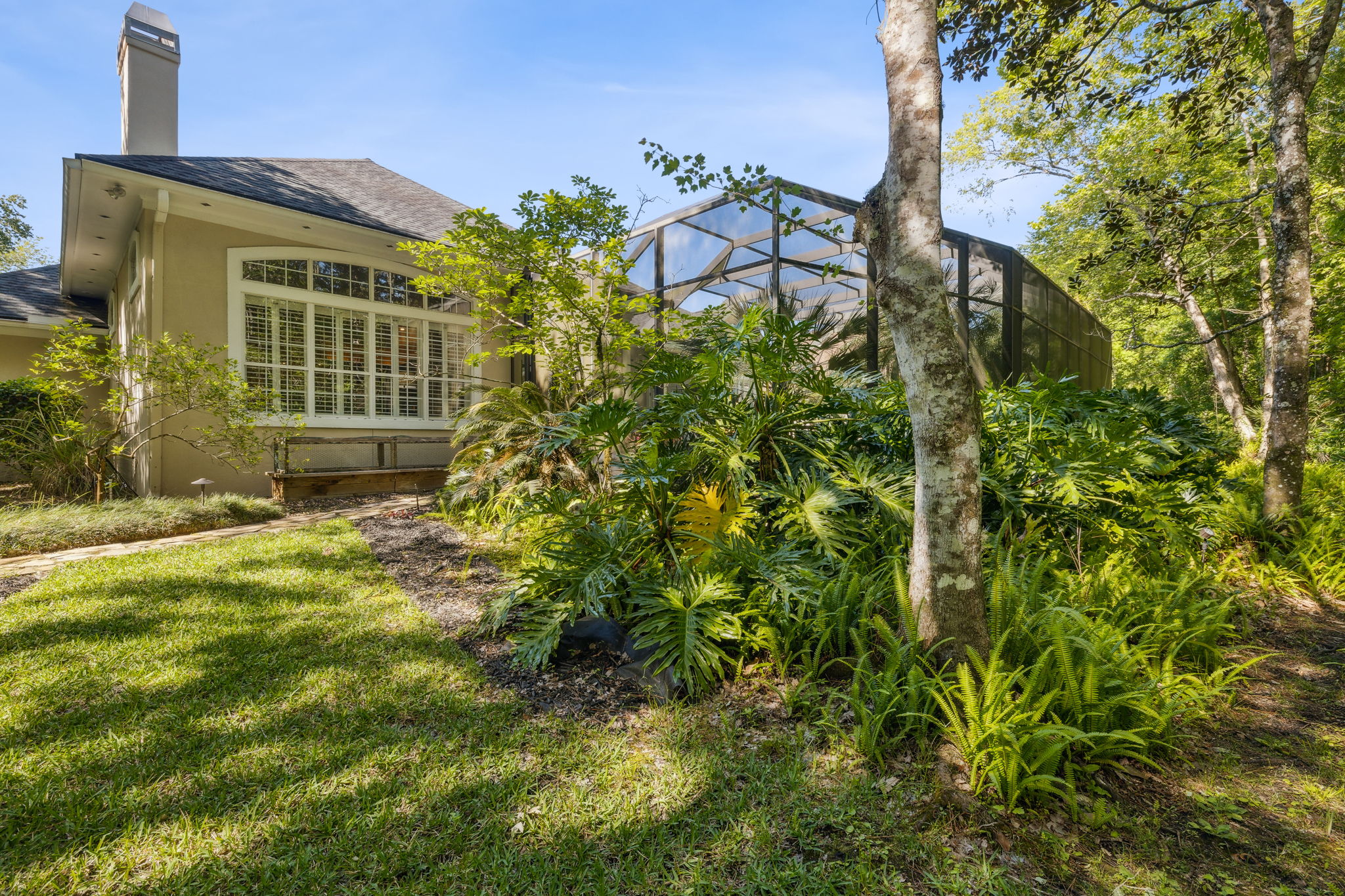 Backyard