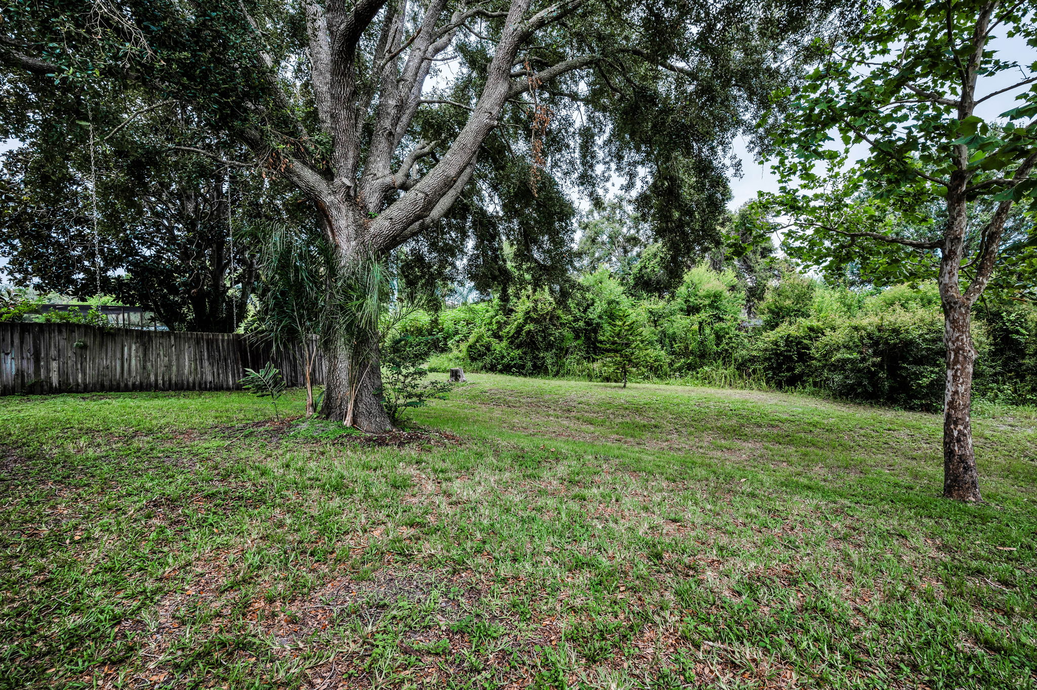 Backyard1