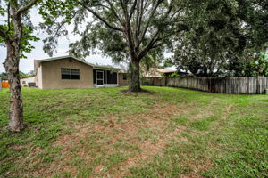 Backyard8
