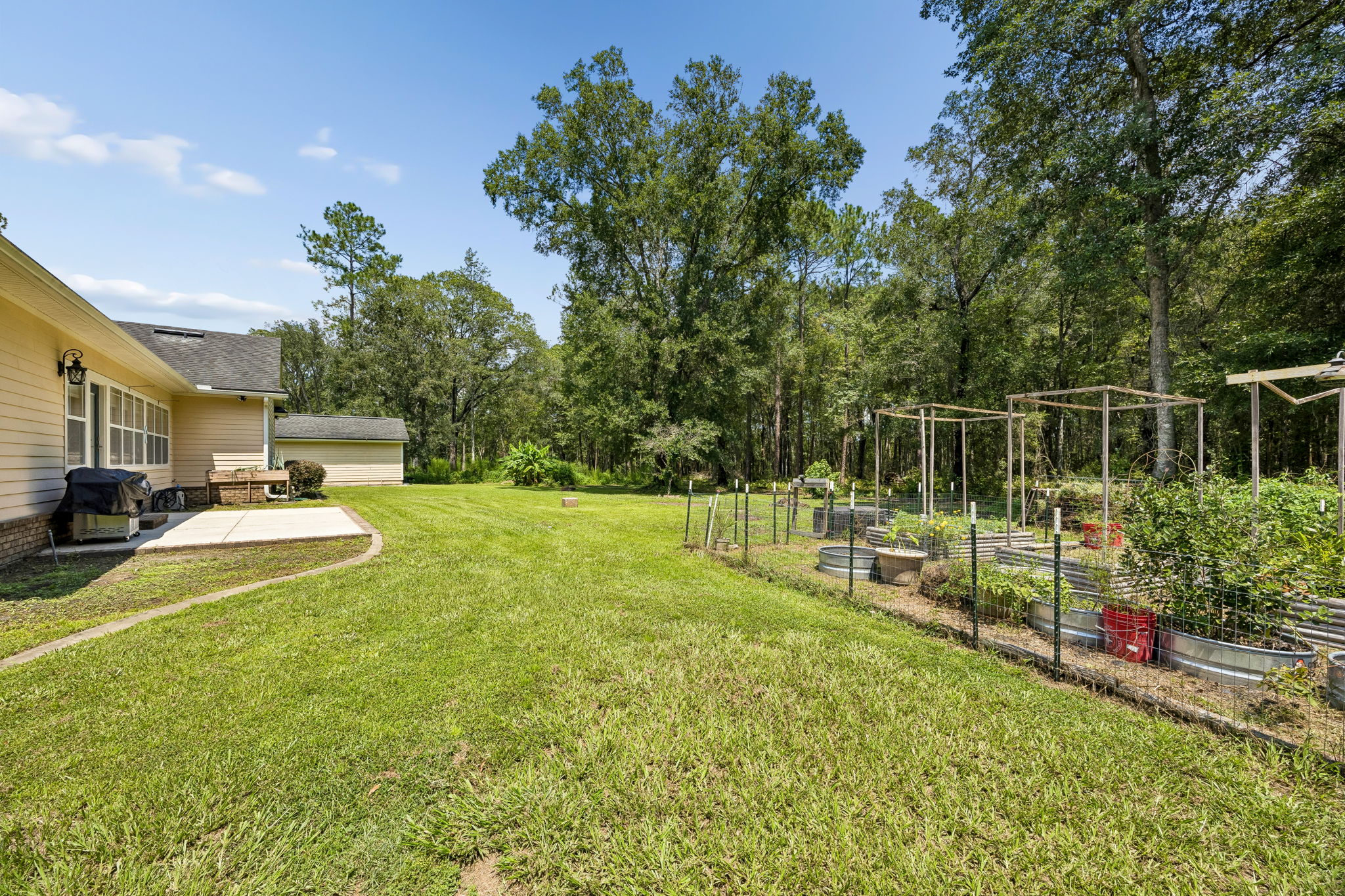 Backyard