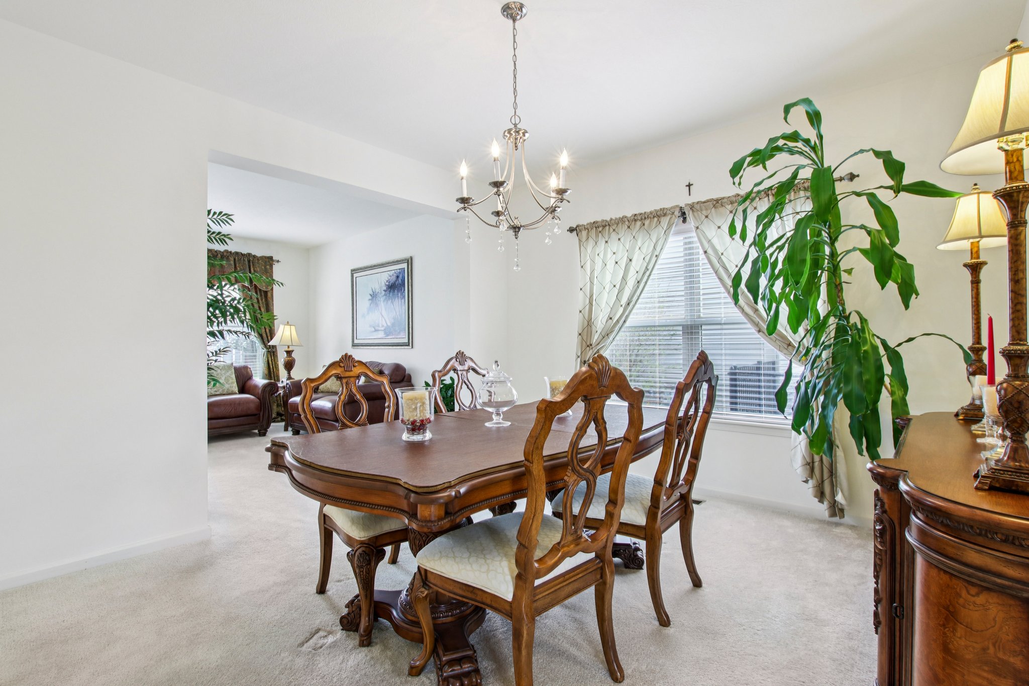 Bayard Dr-S0104-016.jpg