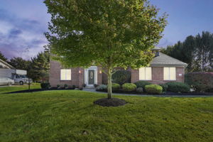  Photo 0