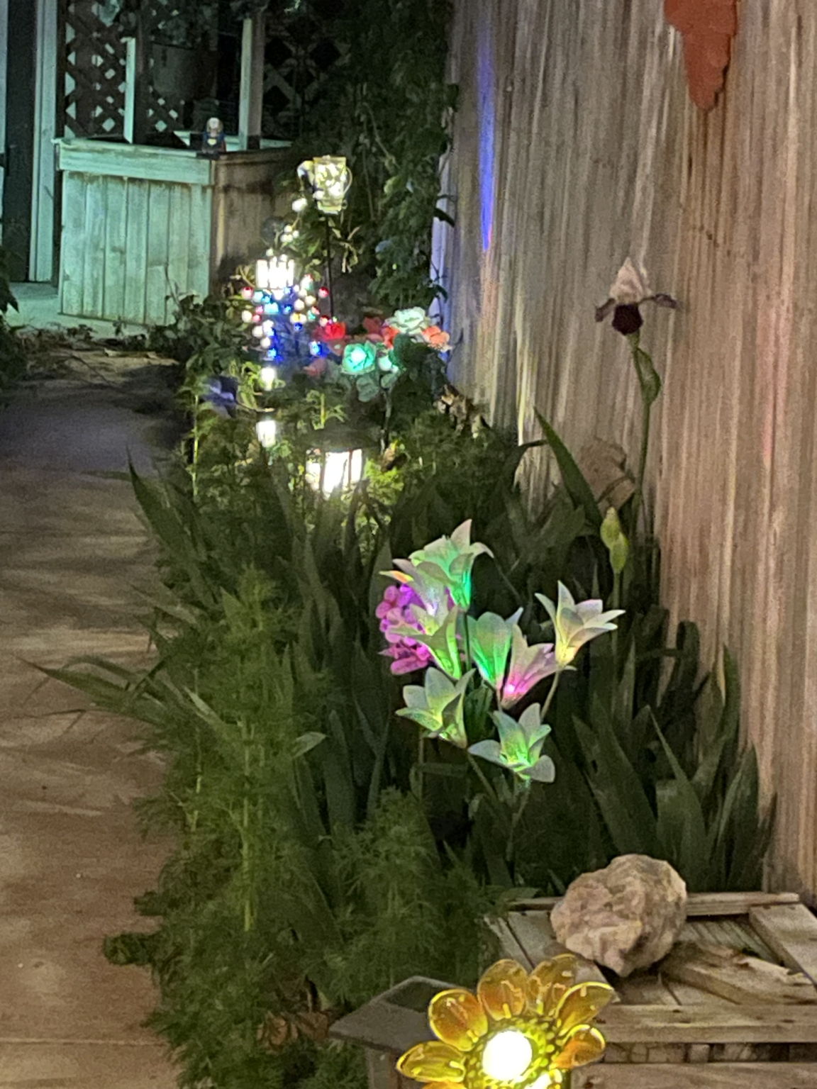 Backyard at night