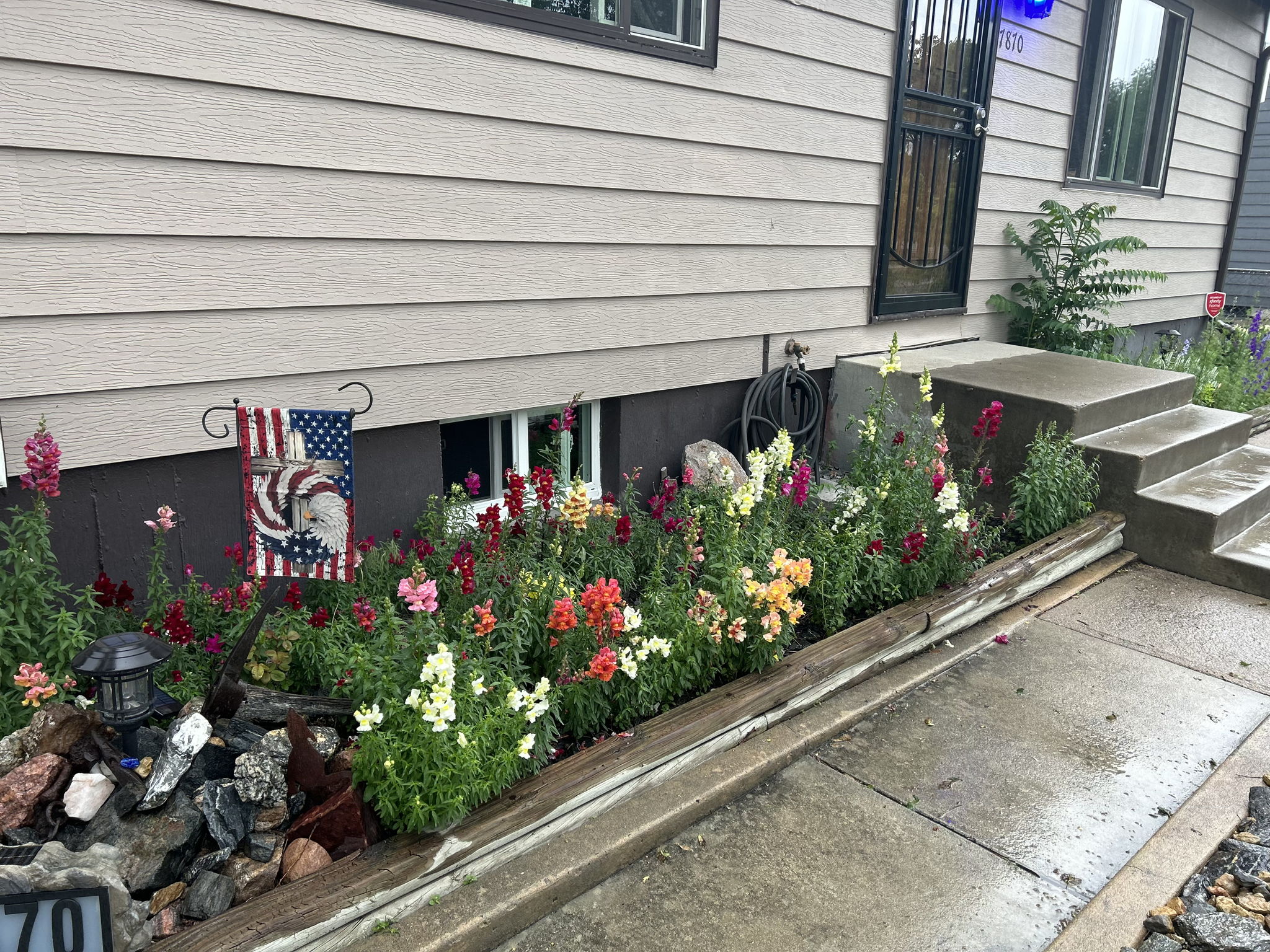 Summer time flowers in the front of the home
