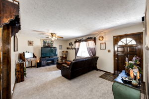 Brand new carpet with the original hardwood floors underneath