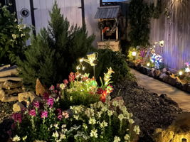 Lots of yard art with solar