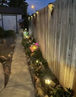 Backyard at night with a privacy fence
