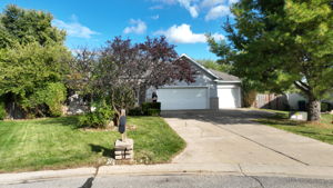  Photo 0