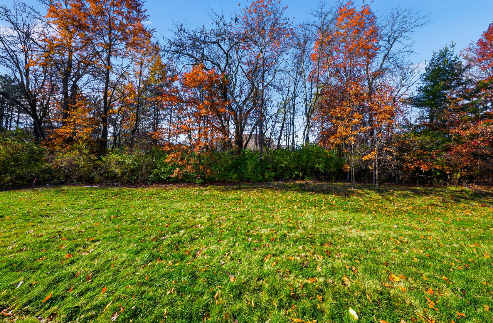 James Roof - 7871 Sparrow Run-97