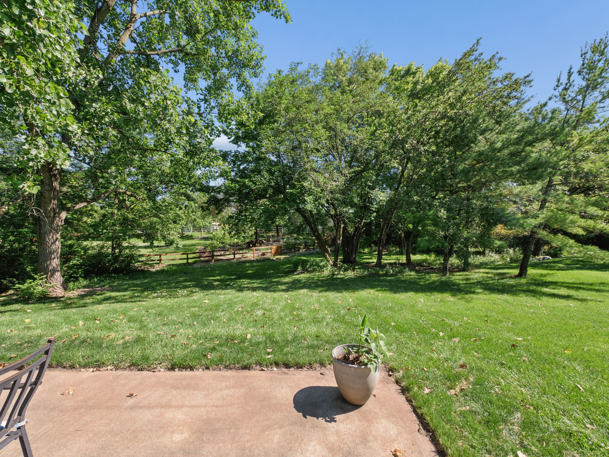  Photo 43