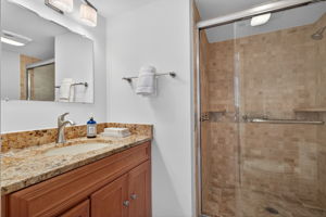 Guest Bath/Shower