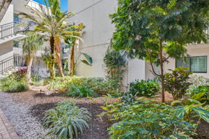 Building courtyard 2