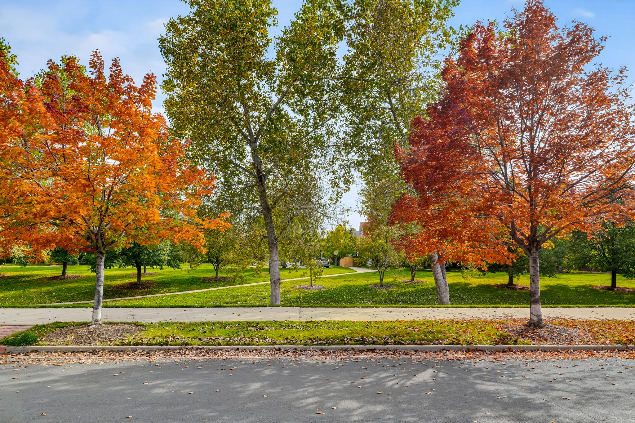 View from the front porch!