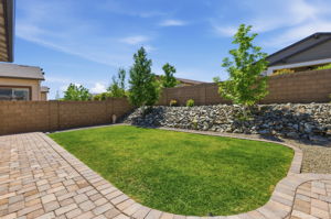 Backyard 2
