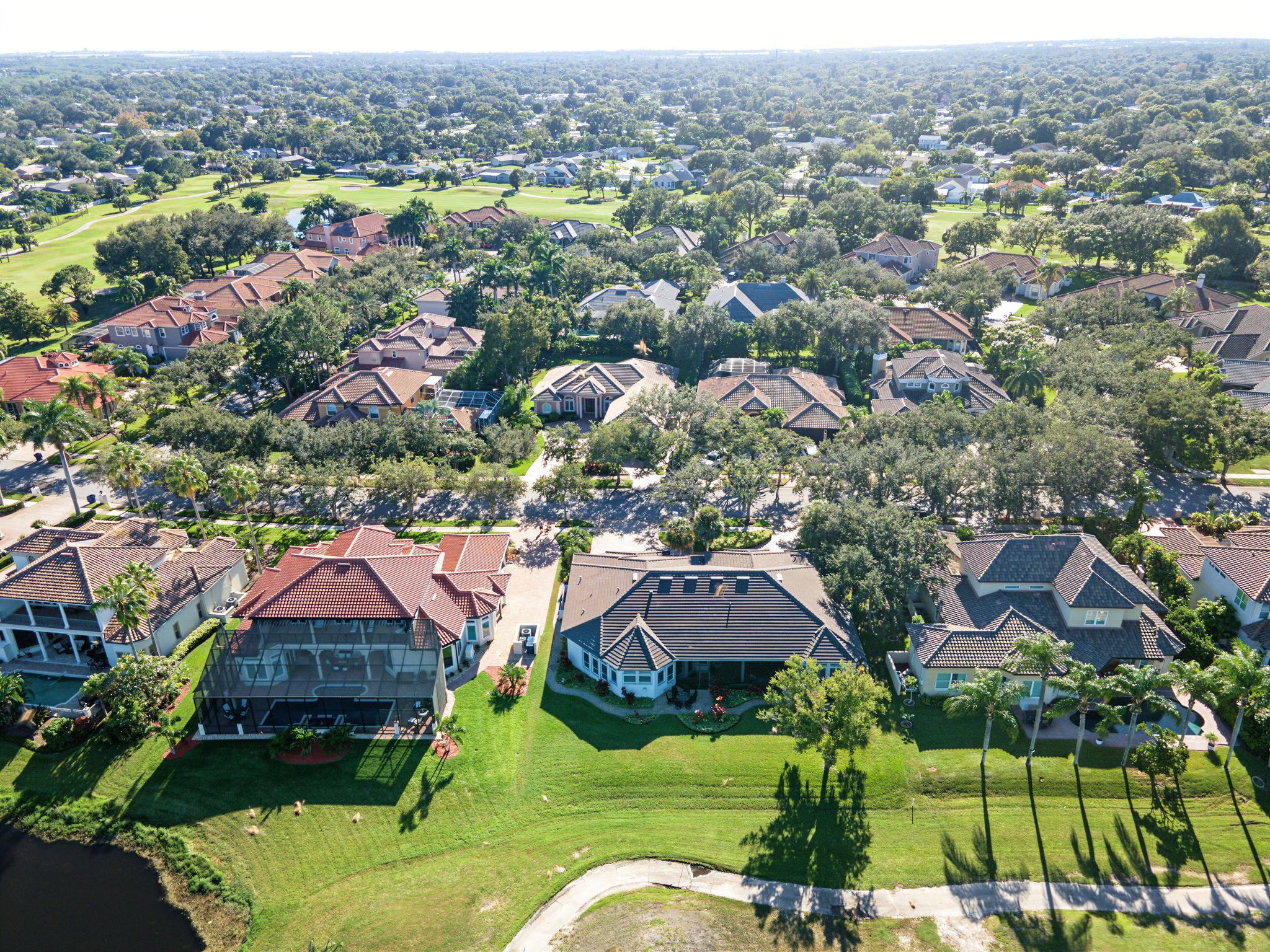 Aerial (11)