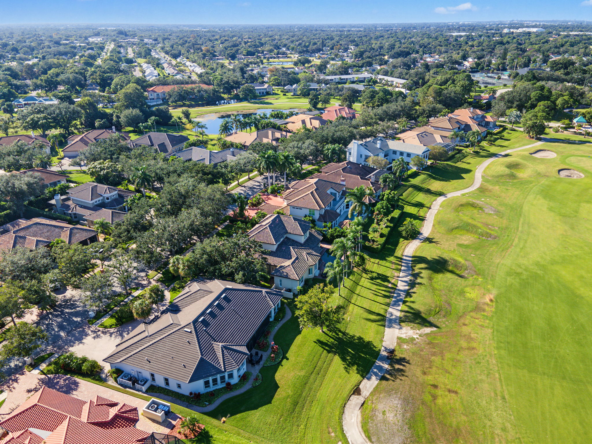 Aerial (12)