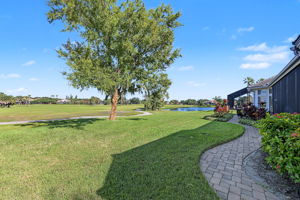 Backyard1