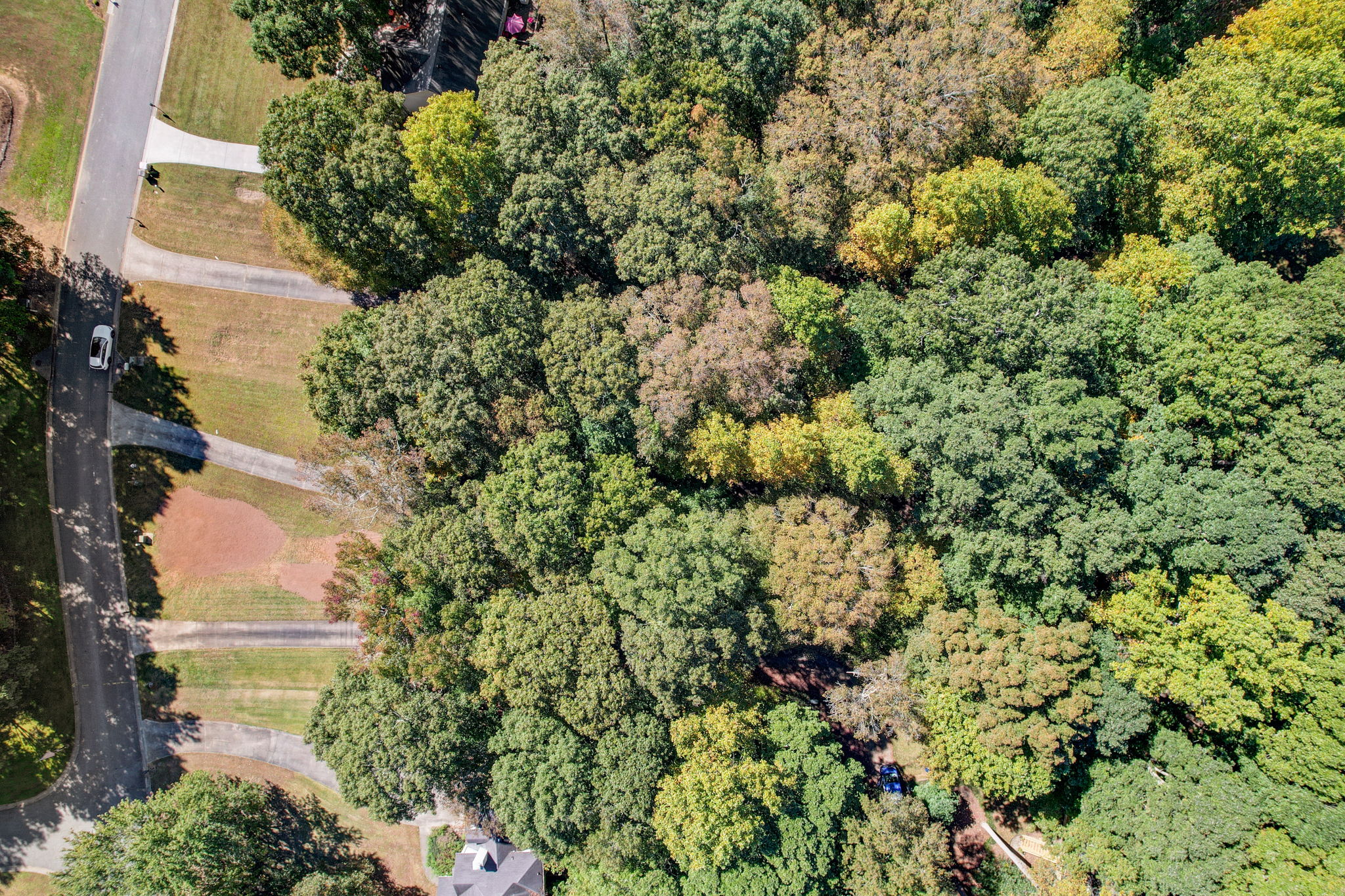 Wynfield Dr-045