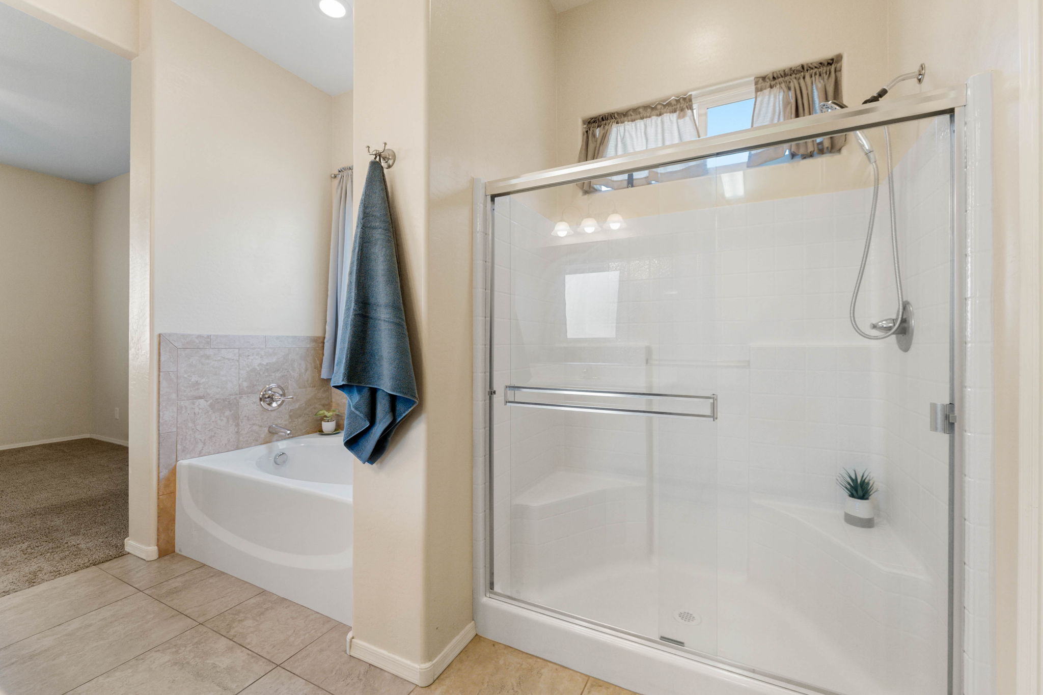 Primary Bathroom (3)