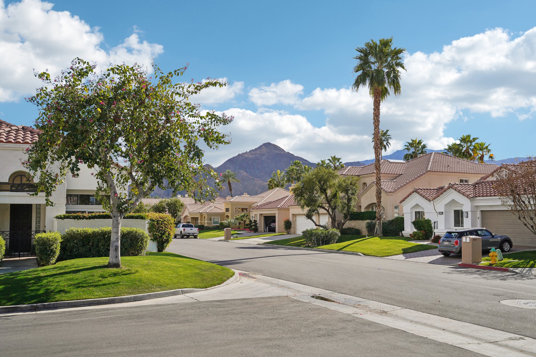 Del Monte Ct-S2002-004.jpg