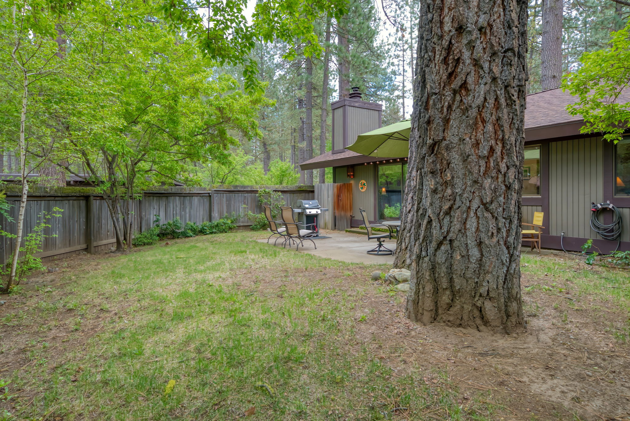  Photo 36