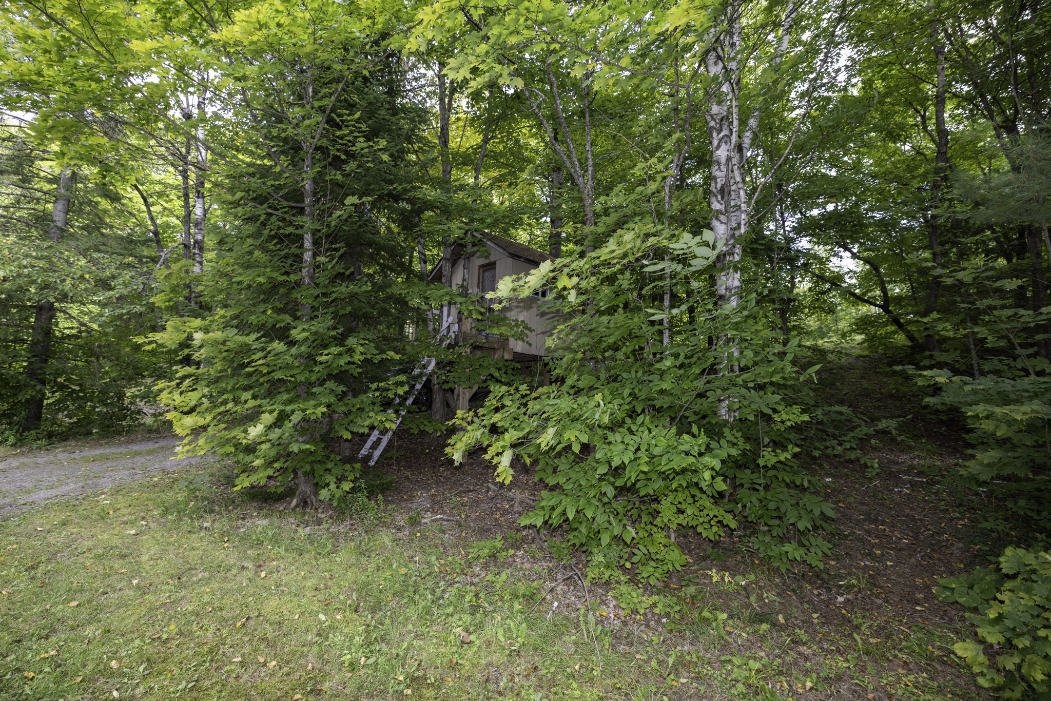  Photo 19