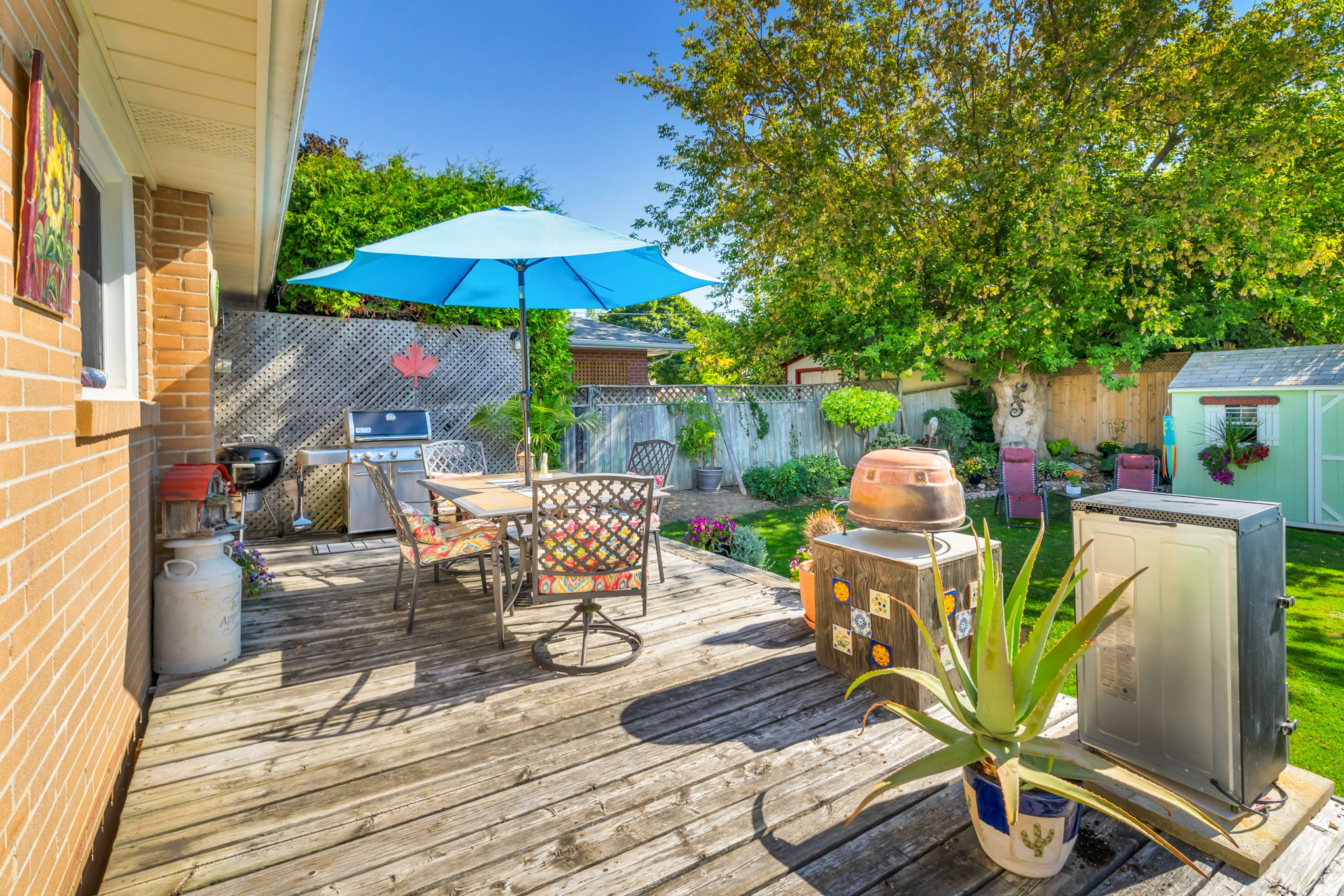 Backyard