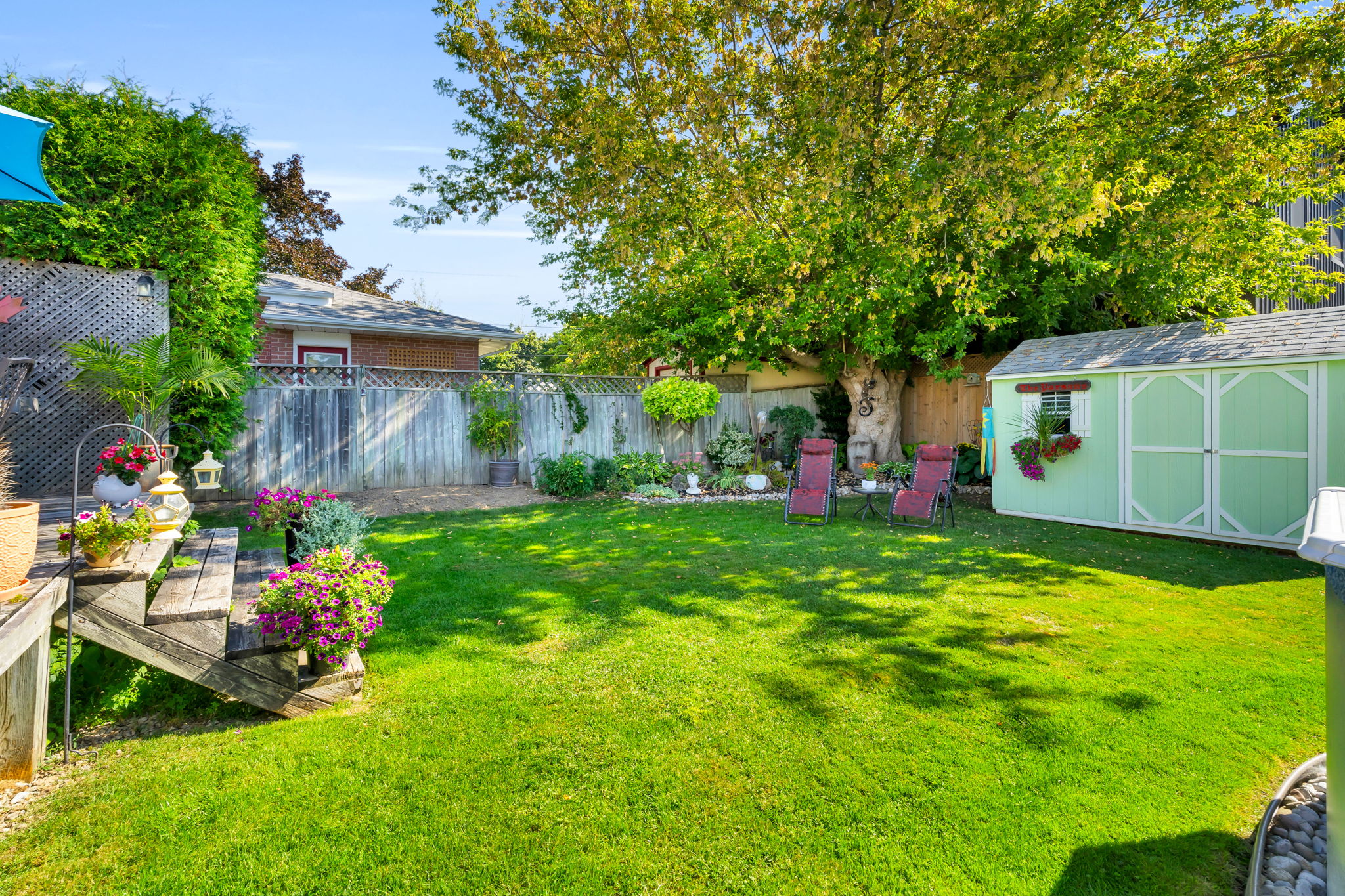 Backyard