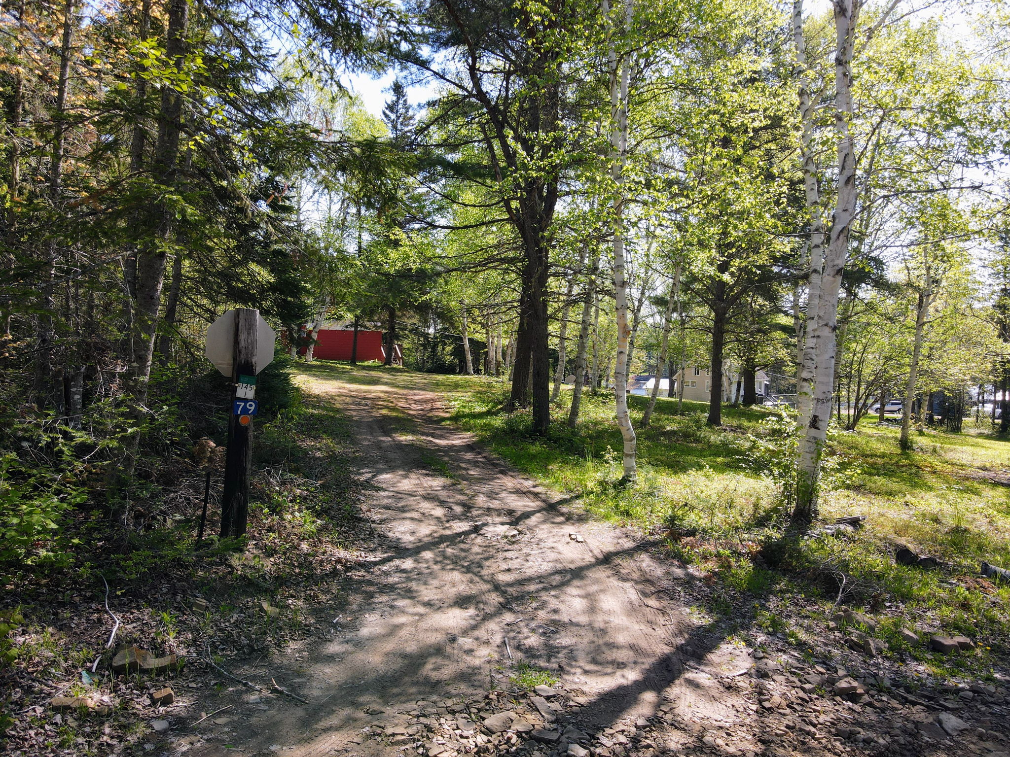  Photo 19