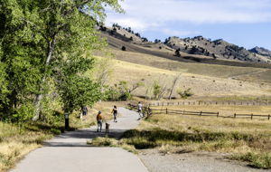  Photo 45