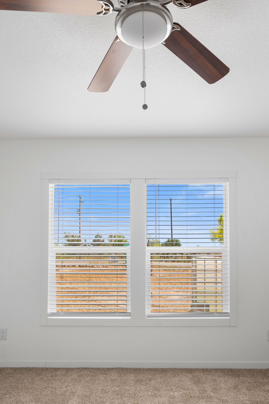 Master Bedroom Windows