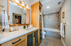 Master Bathroom 1a