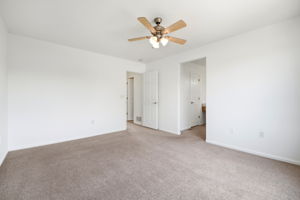 DPB03594
