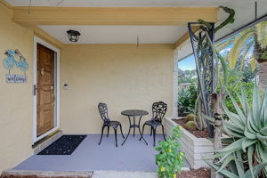 Mimosa Dr-006