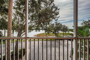 Patio View